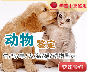 德阳动物亲子鉴定