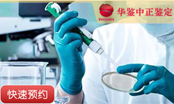德阳父系亲缘鉴定
